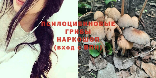 стафф Михайловка
