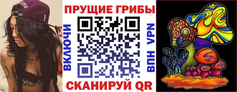Галлюциногенные грибы GOLDEN TEACHER  Инсар 
